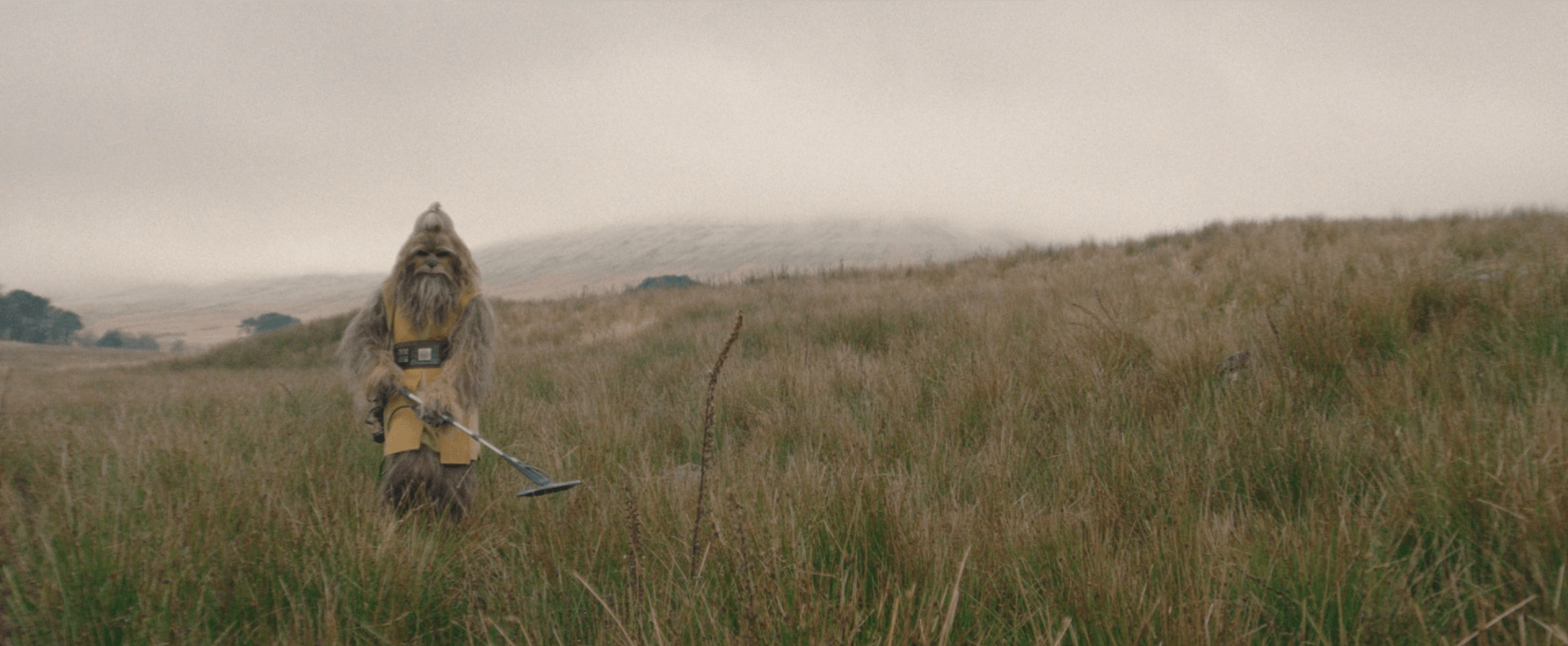 the-acolyte-recensione-kelnacca-budget