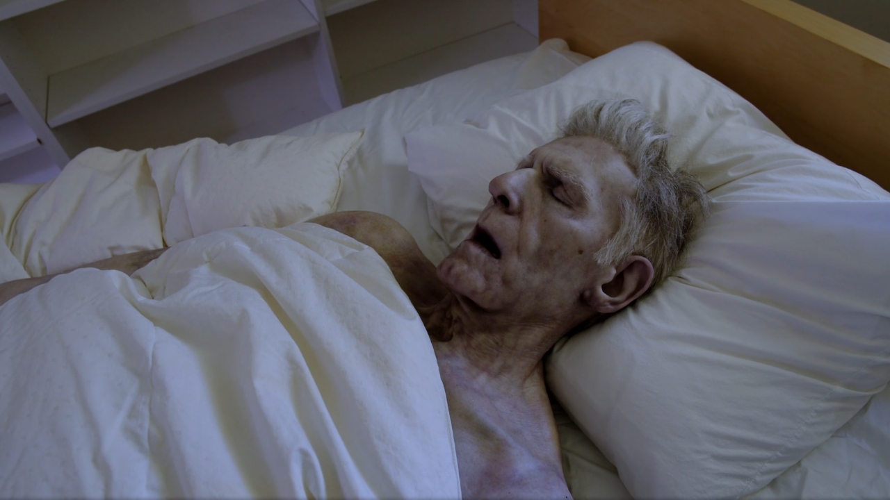 the death of david cronenberg 