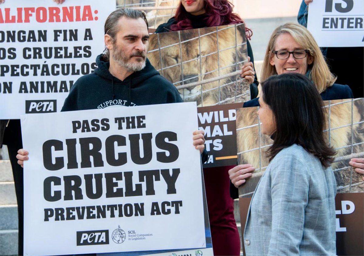 joaquin-phoenix-compleanno-filmografia-animalismo