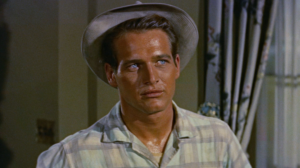 paul-newman-estate-calda-film