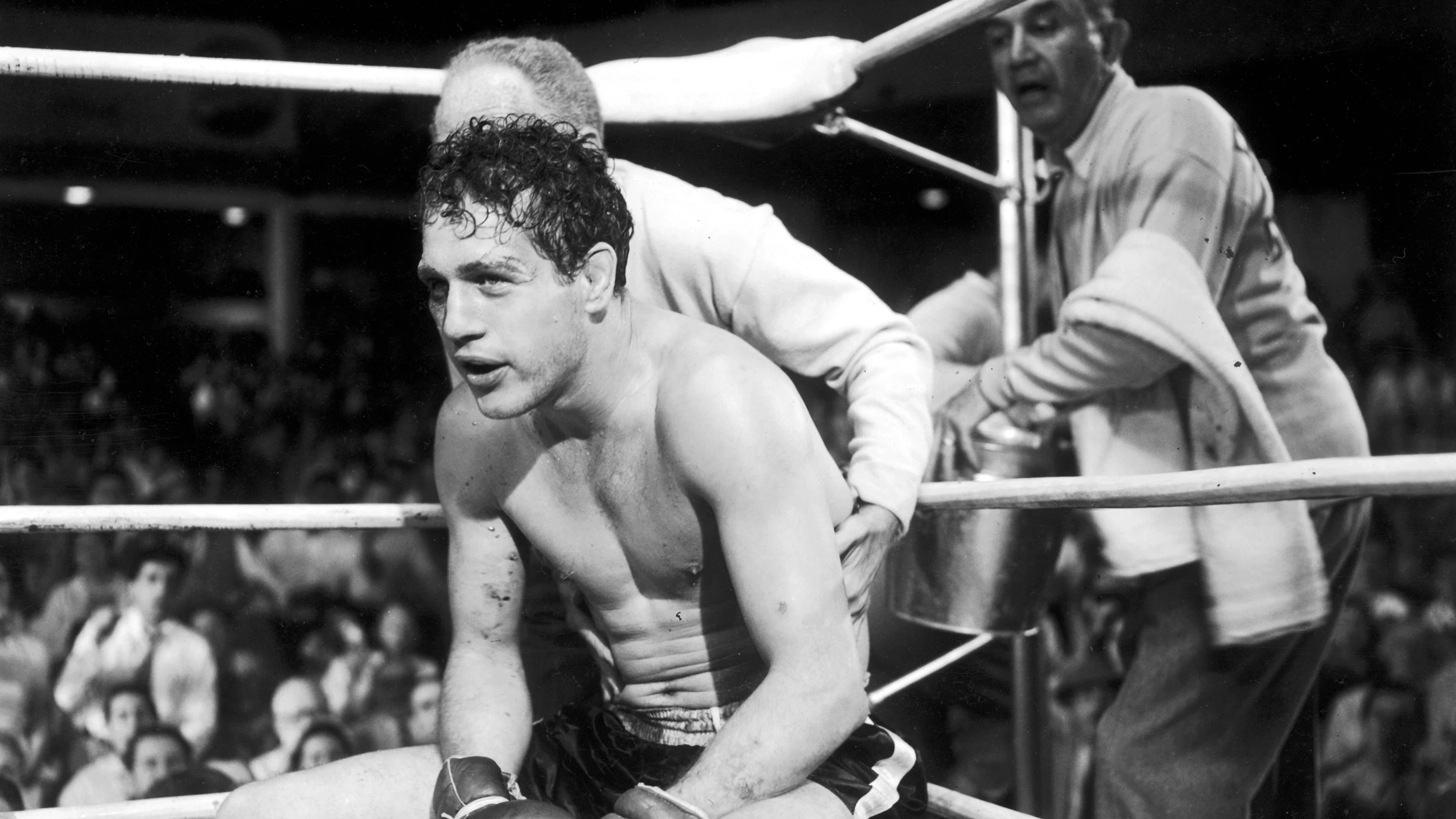 paul-newman-qualcuno-ama