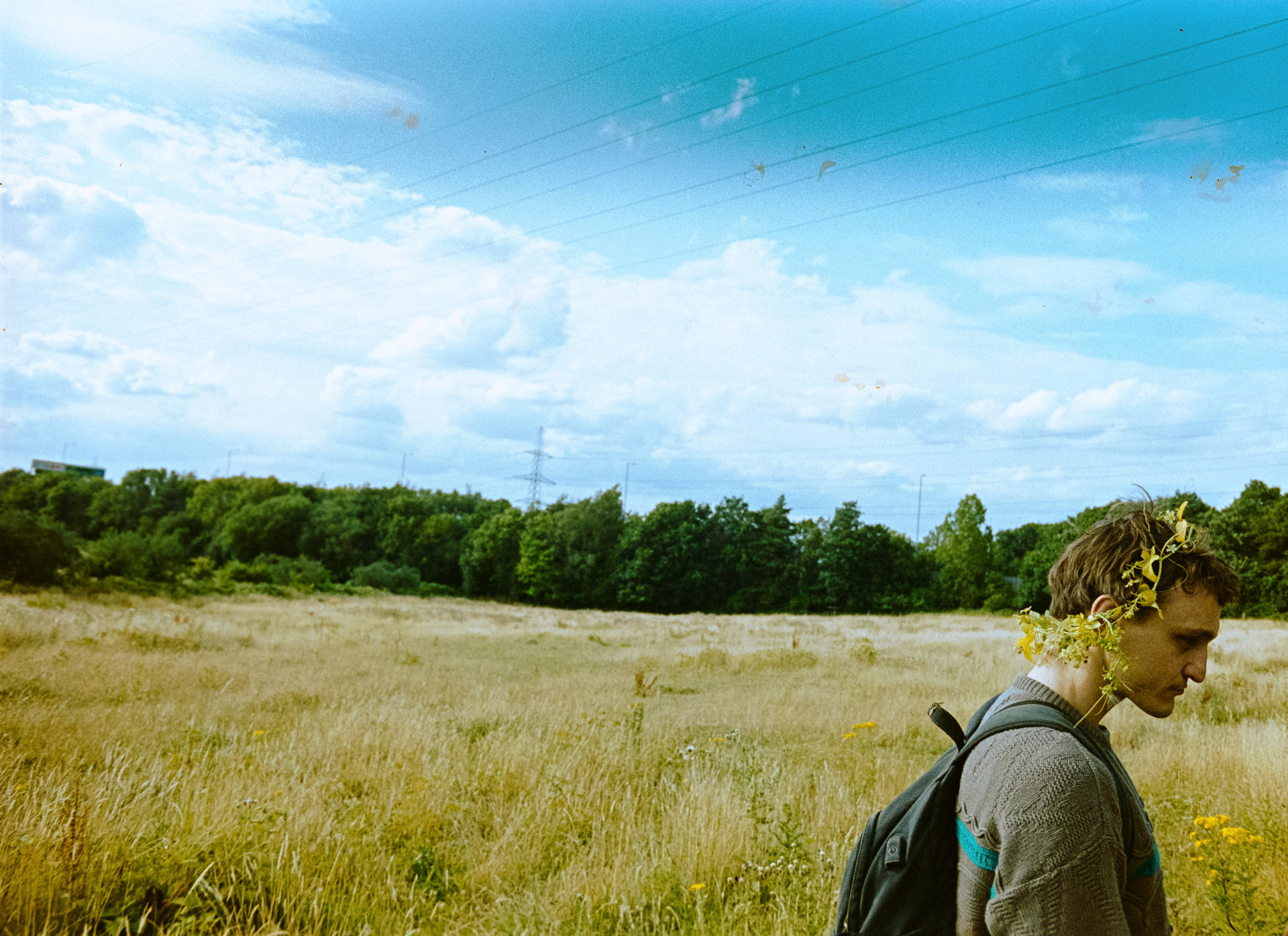 bird-andrea-arnold-recensione