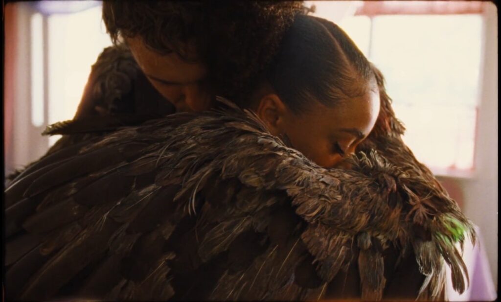 bird-andrea-arnold-recensione