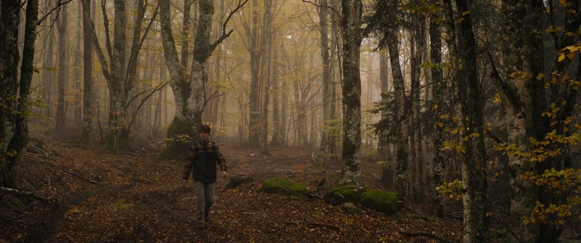 uomo-bosco-recensione