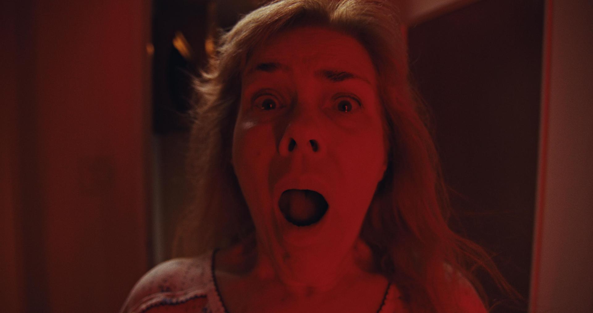 not-film-fest-29-agosto-2025