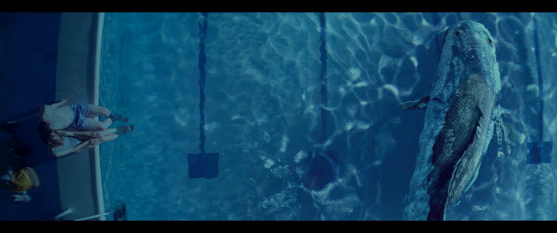 not-film-fest-30-agosto-2025