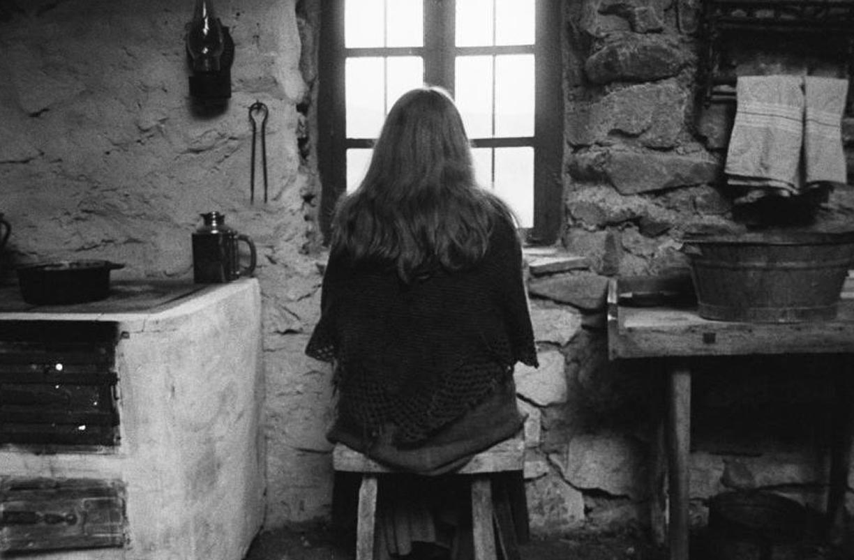 cavallo-torino-speciale-tarr